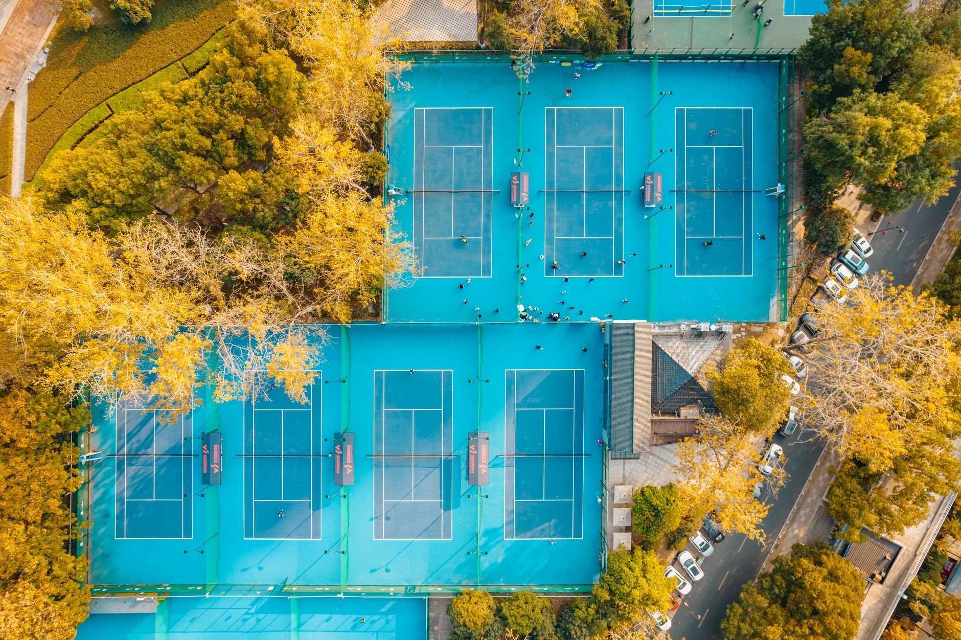 WTA Wuhan Predictions: Clear Insights for Day 4 Matchups